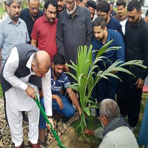 ڈائریکٹر جنرل ادارہ ترقیات کراچی آصف جان صدیقی نے سوک سینٹر کے سبزہ زار میں پودا لگا کر جشنِ آزادی کی تقریبات کا باقاعدہ آغاز کیا۔