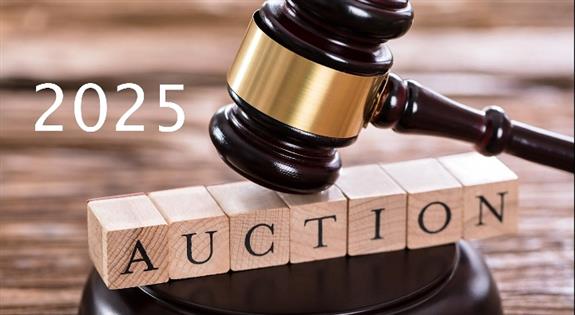 ‎نیلام عام 2025